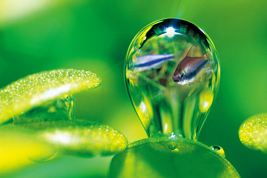 アクアスカイG 新発売のお知らせ | ADA - NEWS RELEASE