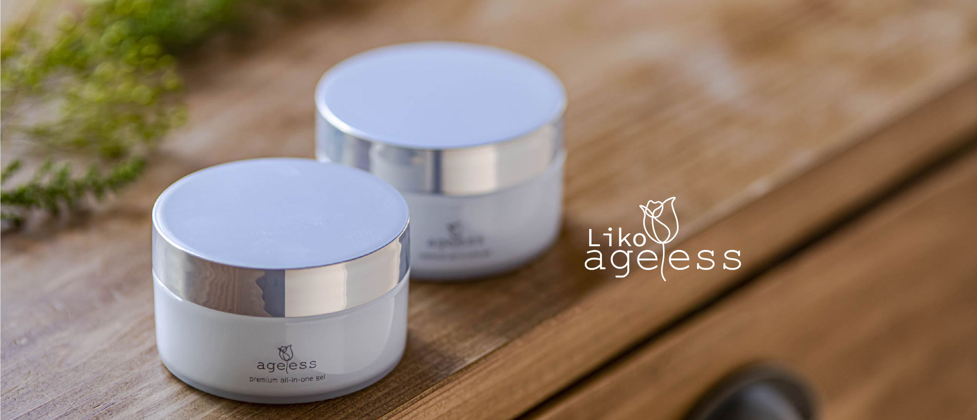 ageless|株式会社アージュレス