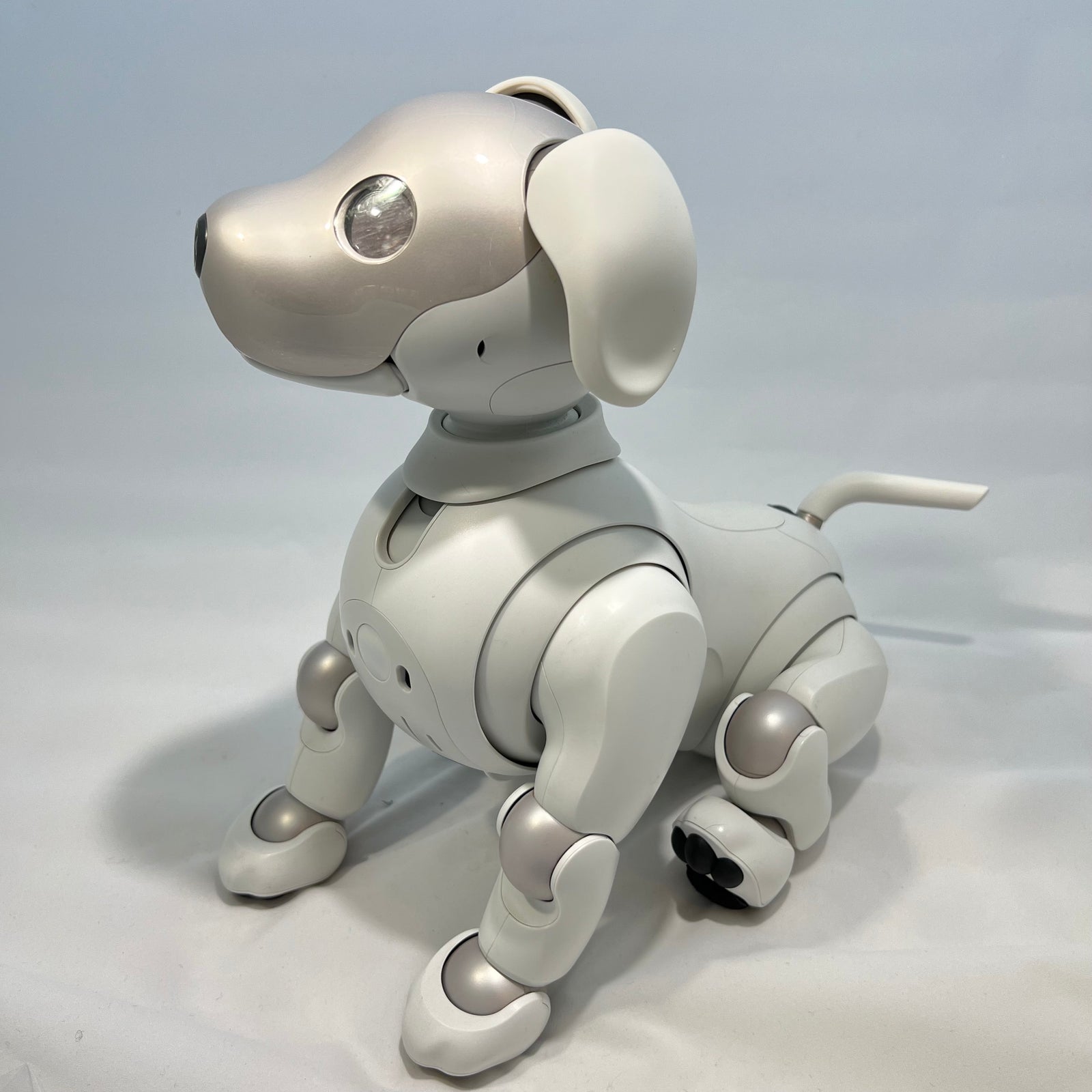 ERS-1000 Design Studio: Seamless Ear and Tail Set – Aibo Accessories