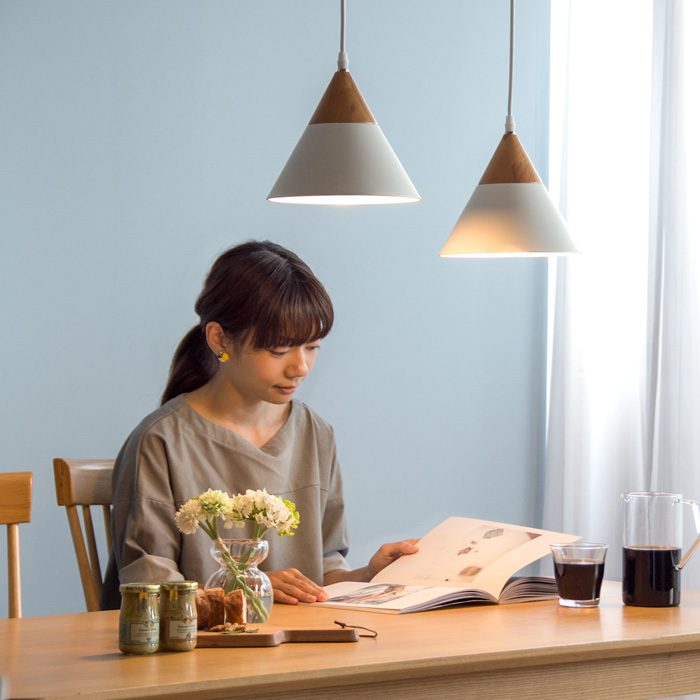 北欧ペンダントライト GiGi little 〔ジジ リトル〕スチールタイプ