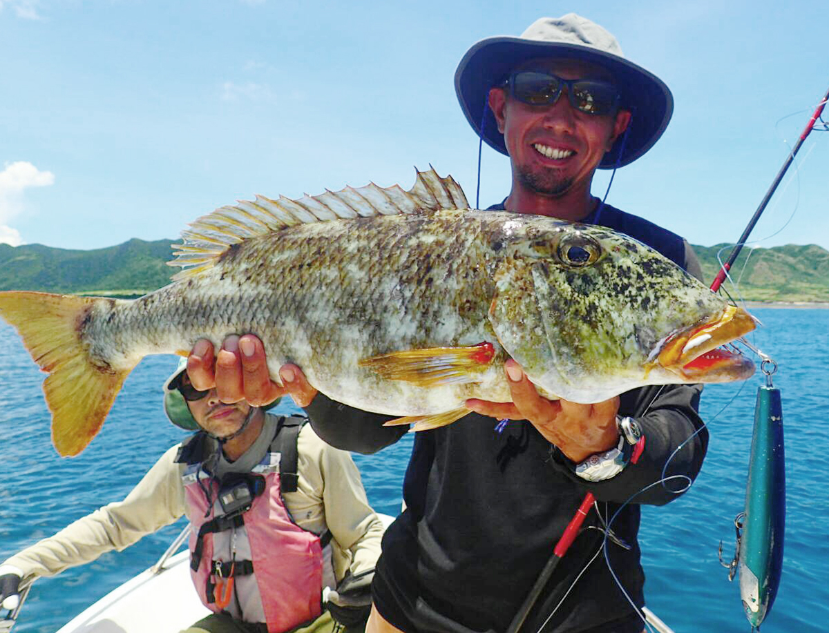 Fracflly | Atoll アトール