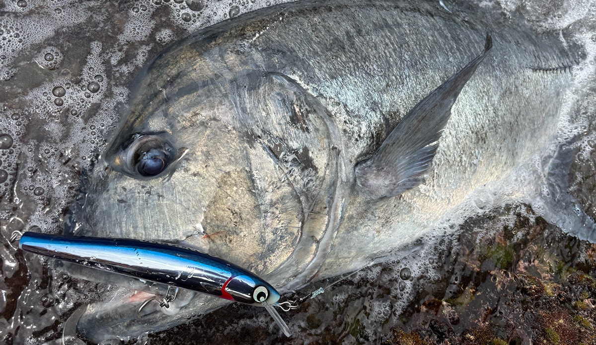 ごんた | Atoll アトール