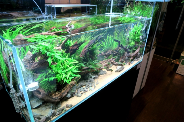 水草育成用高色彩LED照明システム SOLAR RGB 即日完売 | アクア