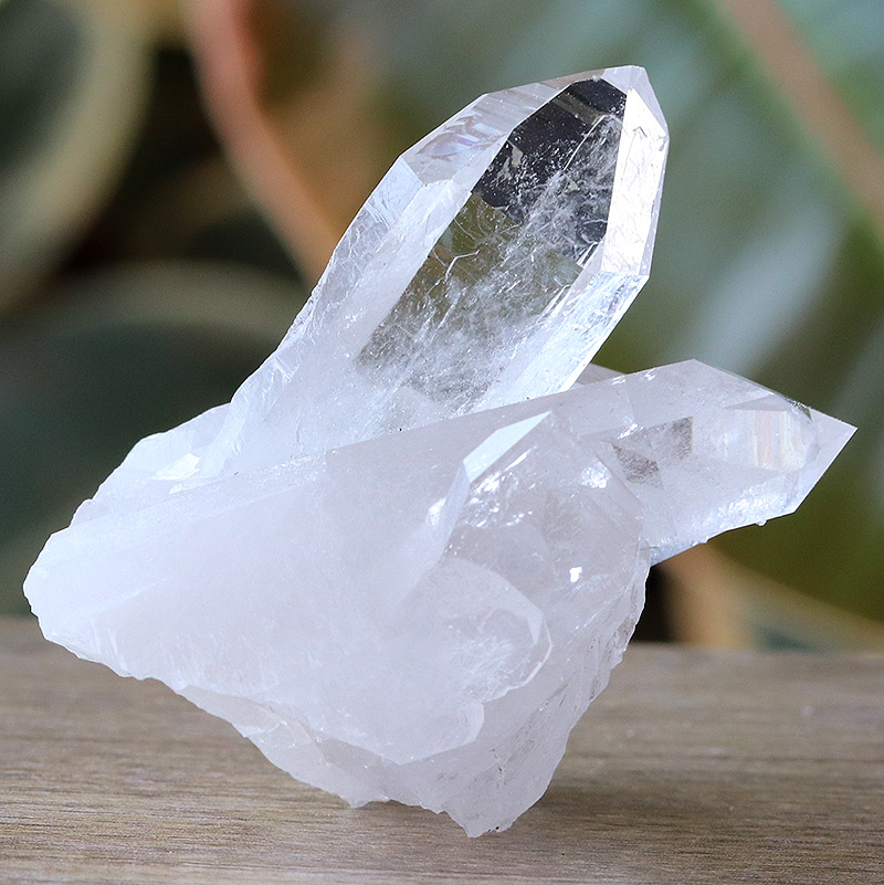 極上品質！トマスゴンサガ産水晶クラスター-119水晶クラスター、天然石