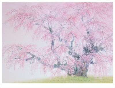 野地美樹子(版画）|アート＆フレーム|絵と額縁の専門店