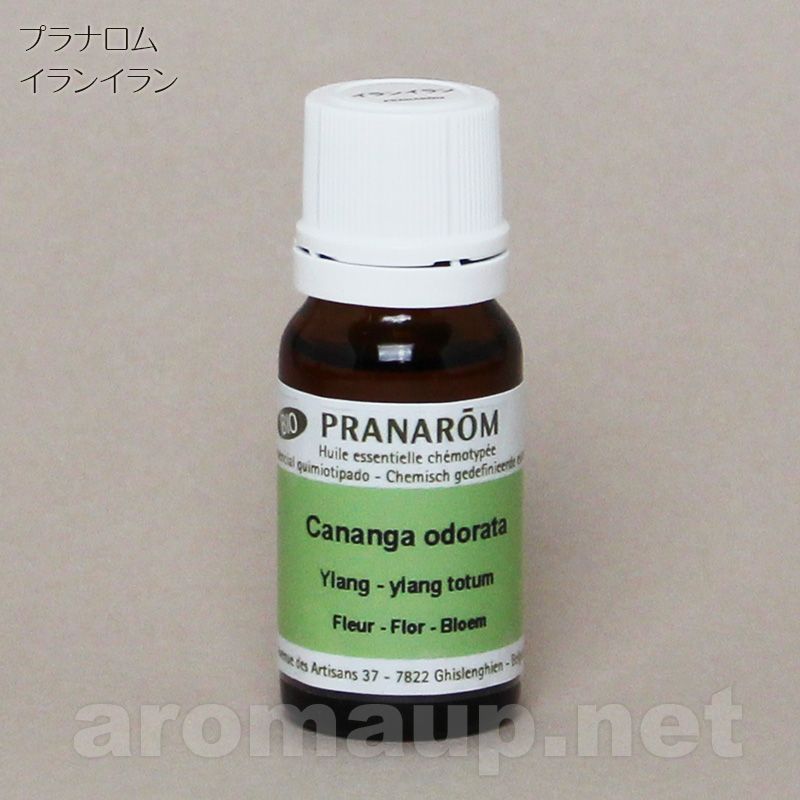 プラナロム / イランイラン ：：：アロマアップ：：：