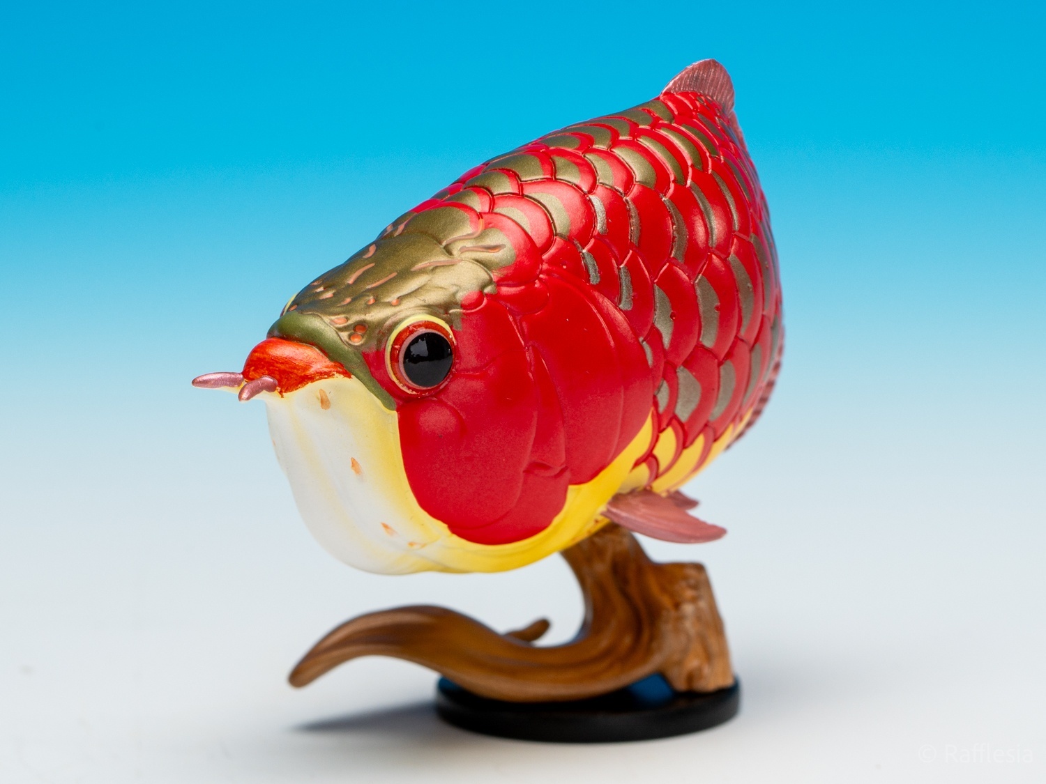 アジアアロワナ（赤）【動画あり】 - アジアアロワナ専門店ラフレシア