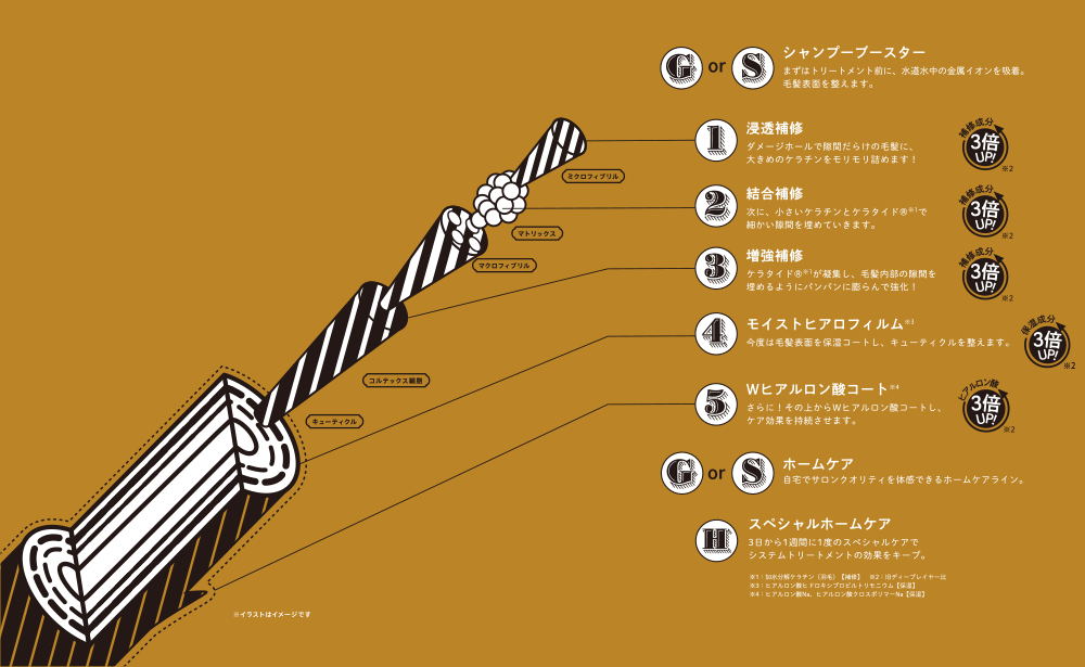 ビューティーエクスペリエンス ディープレイヤー 5R 470gの業務用通販