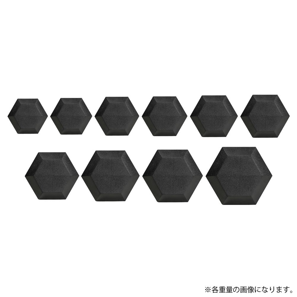 六角ダンベル 5KG PD009500｜BODYMAKER（ボディメーカー）