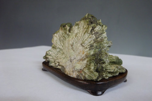 菊花石 (下仁田産) 【 水石 22 ― 04 】 - 小品盆栽専門店 湘風園