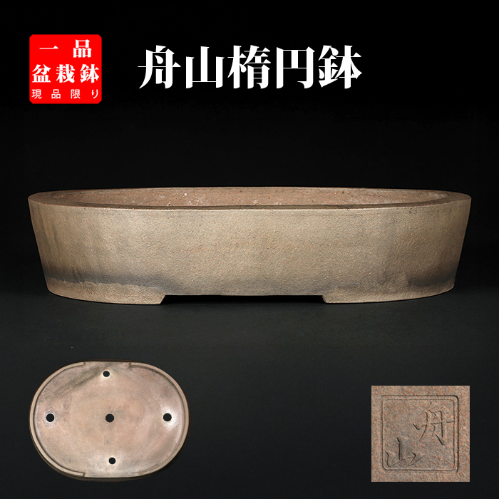 舟山楕円鉢 | 盆栽、盆栽書籍、盆栽鉢の通販│近代出版