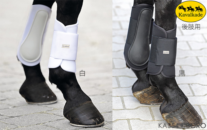 馬具・乗馬用品・カバルカーデネオプレーンプロテクターソフティ後肢用