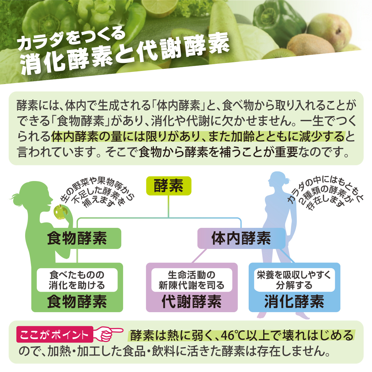 BE-MAX RAW FOOD 55 Cacao 1箱ご購入で3包プレゼント☆酵素