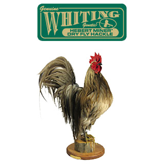 Whiting Farms Hebert Cock Neck Hackle | ホワイティング・ファーム