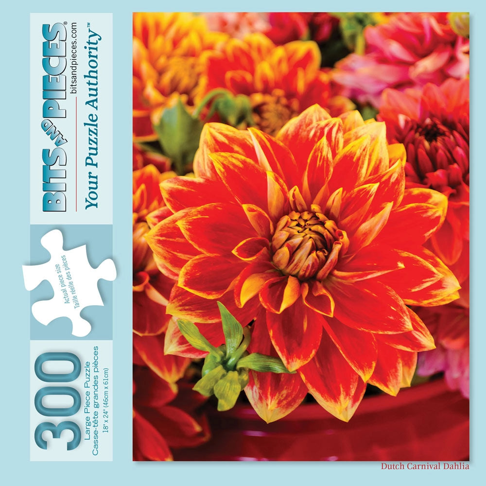 Dutch Carnival Dahlia Jigsaw Puzzle | Bits and Pieces