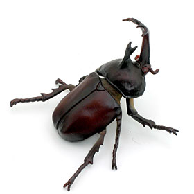 Yujin：原色日本昆虫図鑑Ⅰ