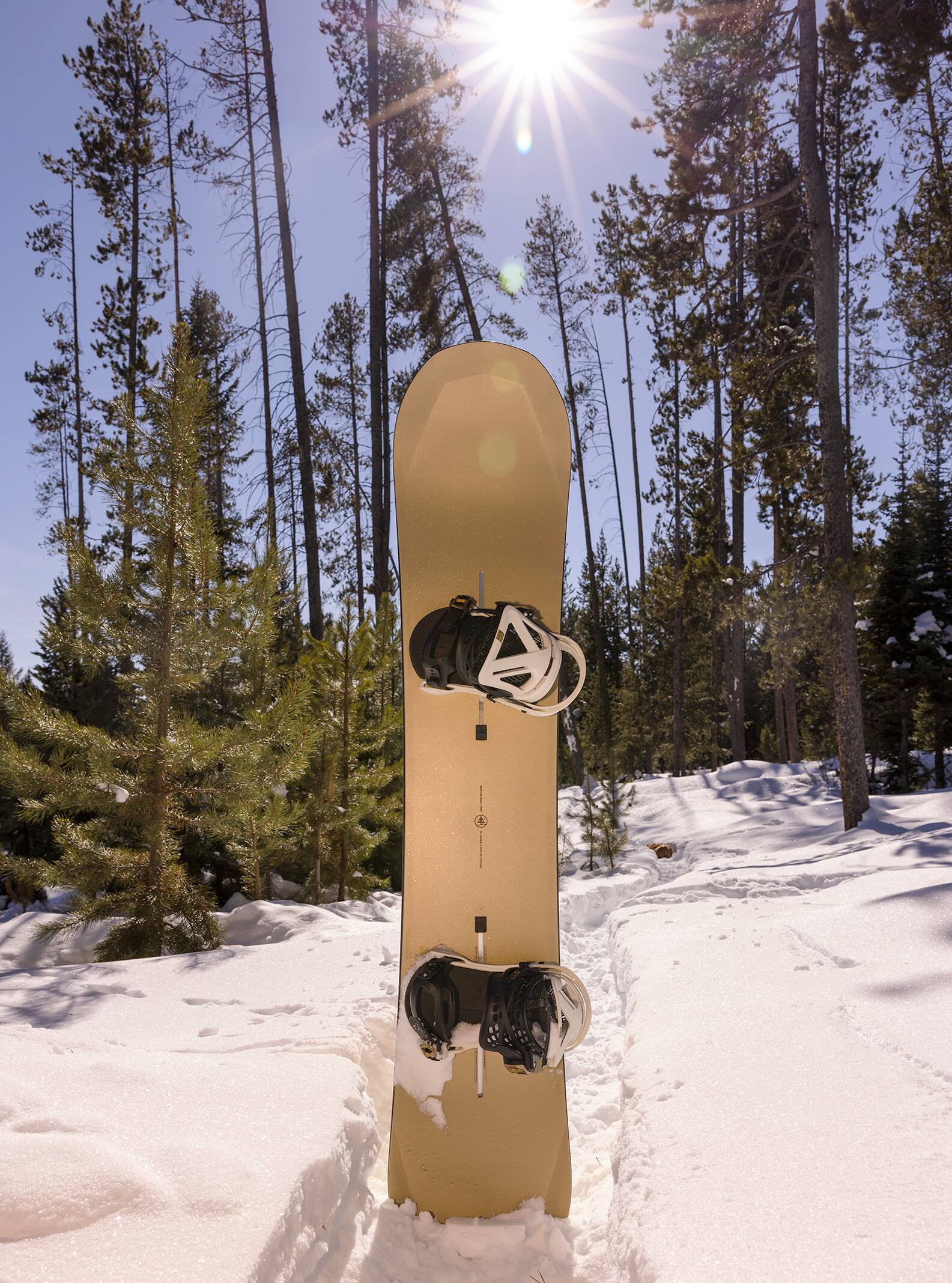 Burton Family Tree 3D Daily Driver Camber Snowboard | Burton.com