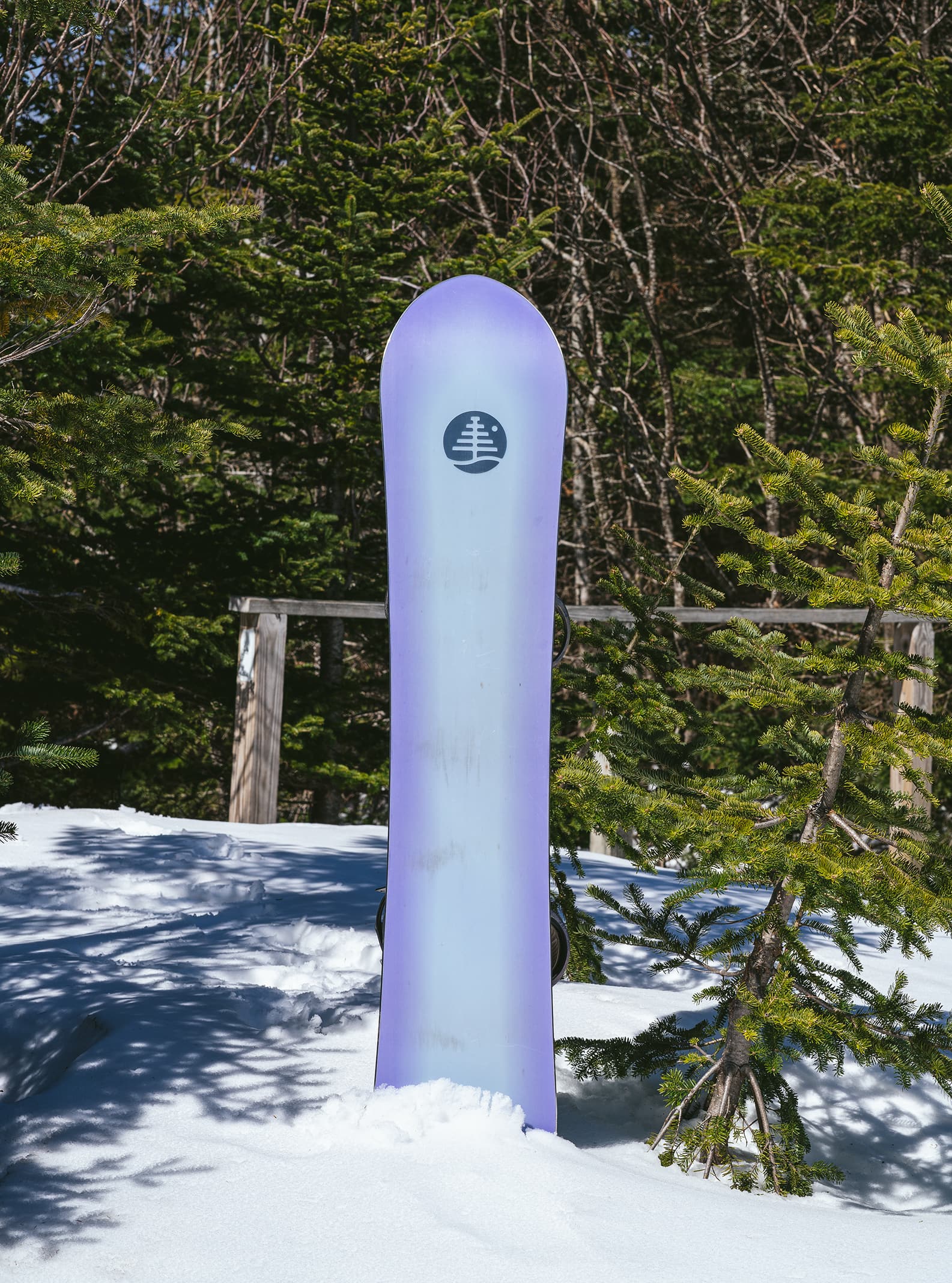 Burton ファミリーツリー ウェーブトレーサー Flying V スノーボード