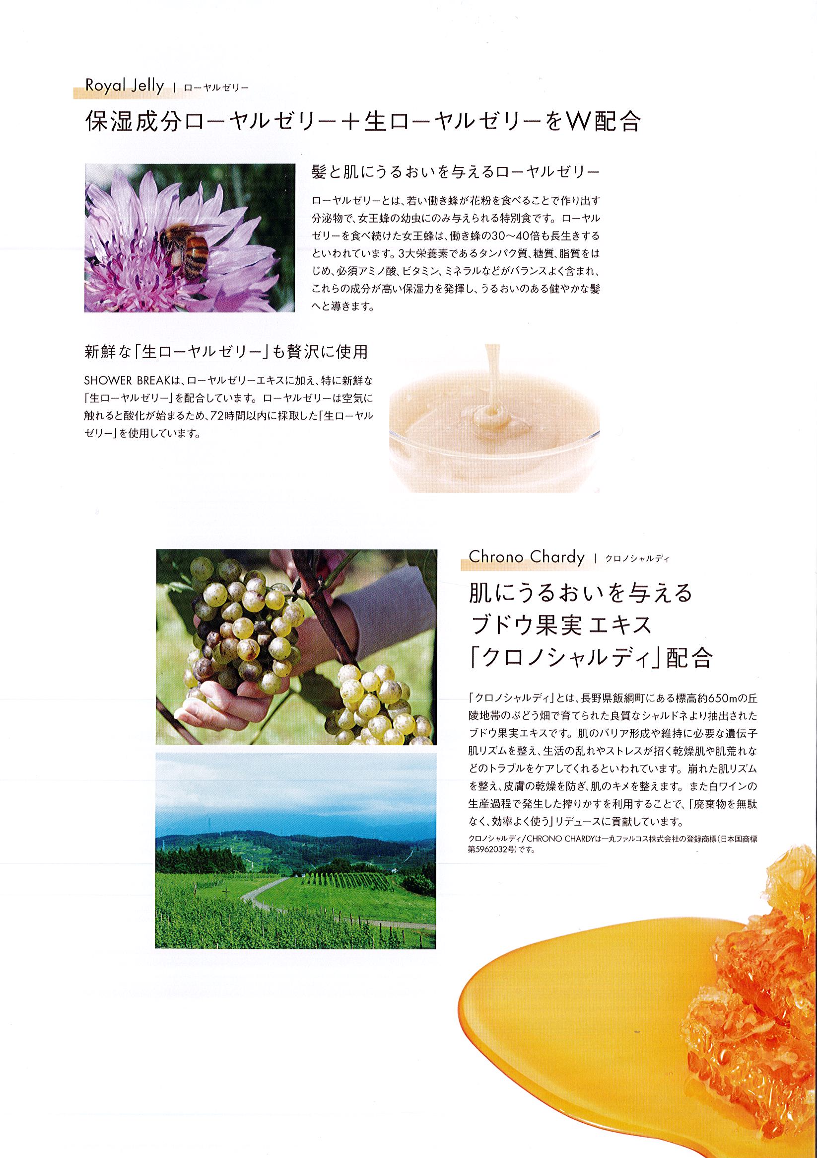 ポーラ(POLA) シャワーブレイク ボディソープ10L（V416） | シンワ