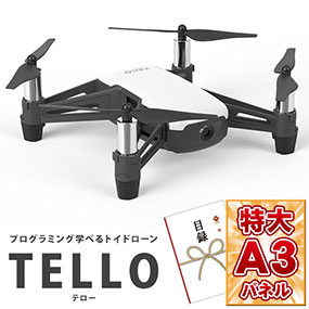トイドローン テロー「TELLO」【目録引換券・A3パネル付き】｜景品