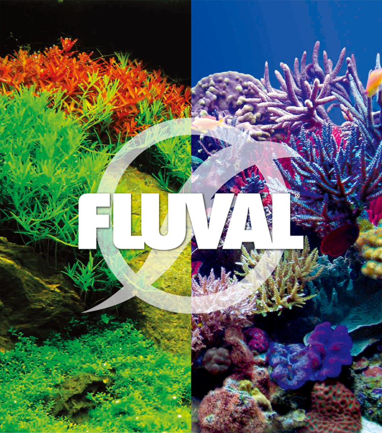 FLUVAL FLEX丨自由自在のLED付き水槽丨ジェックス