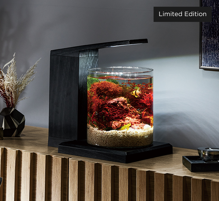 グラスアクア ペルコ ｜オールインワン水槽セット｜ジェックス