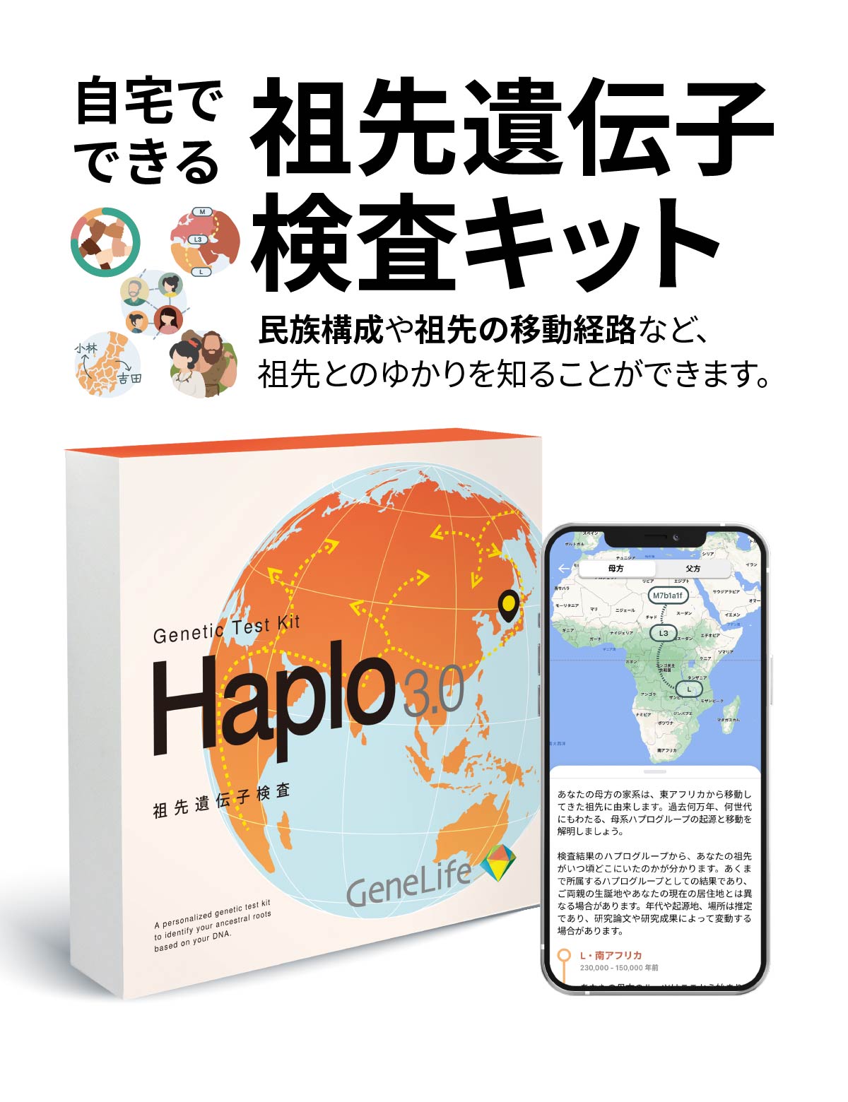 祖先遺伝子検査キット Haplo3.0