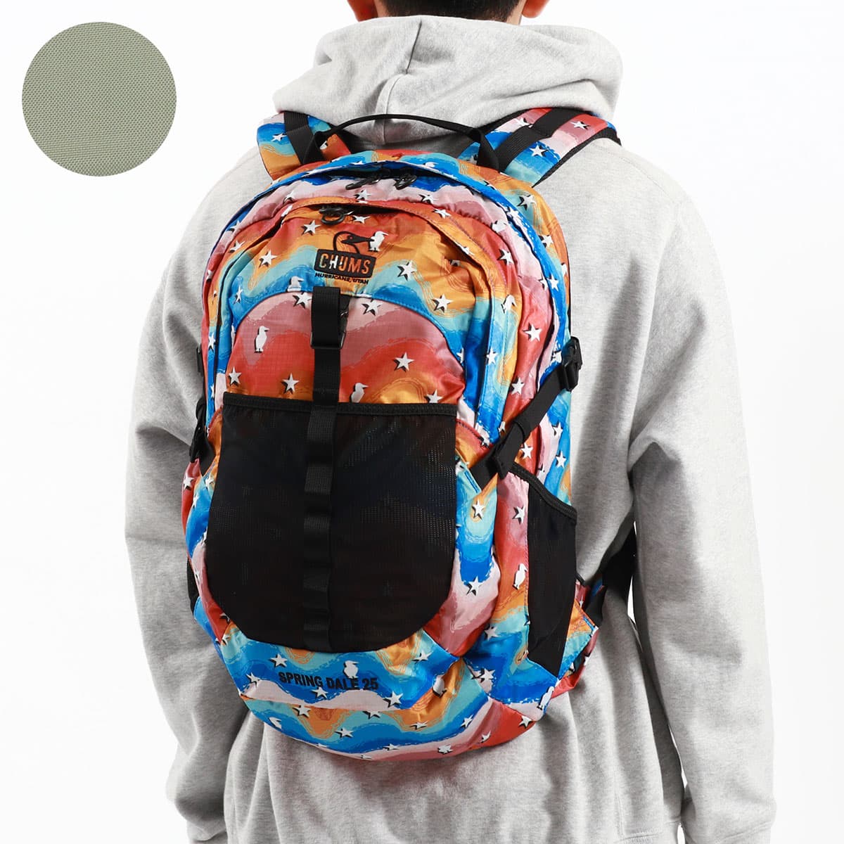 日本正規品】CHUMS チャムス Spring Dale 25L リュック 25L CH60-3548