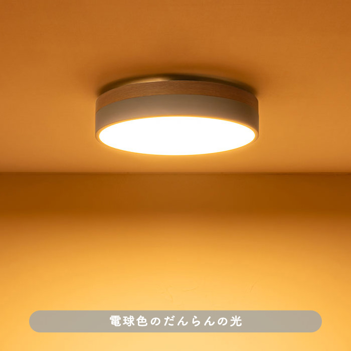 北欧シーリングライト Olika ver.2・リモコン付｜スモークグレー｜照明