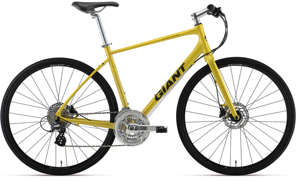 2019 GIANT Bicycles | ESCAPE R3 (2020 NEW)