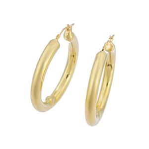 GSTV イタリアンジュエリー 耳モノ（ピアス・チャーム・イヤリング）の