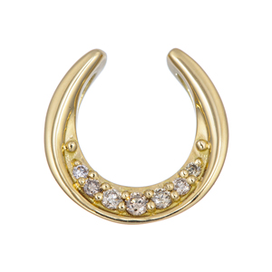 GSTV 馬蹄ペンダントトップ