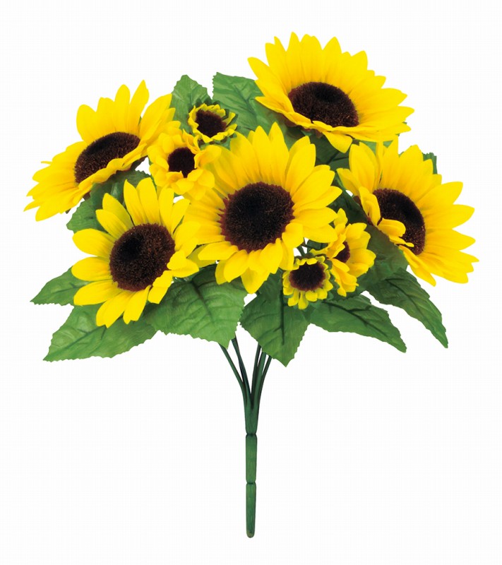 カテゴリ「ヒマワリ」商品一覧ページ | 株式会社ドガ