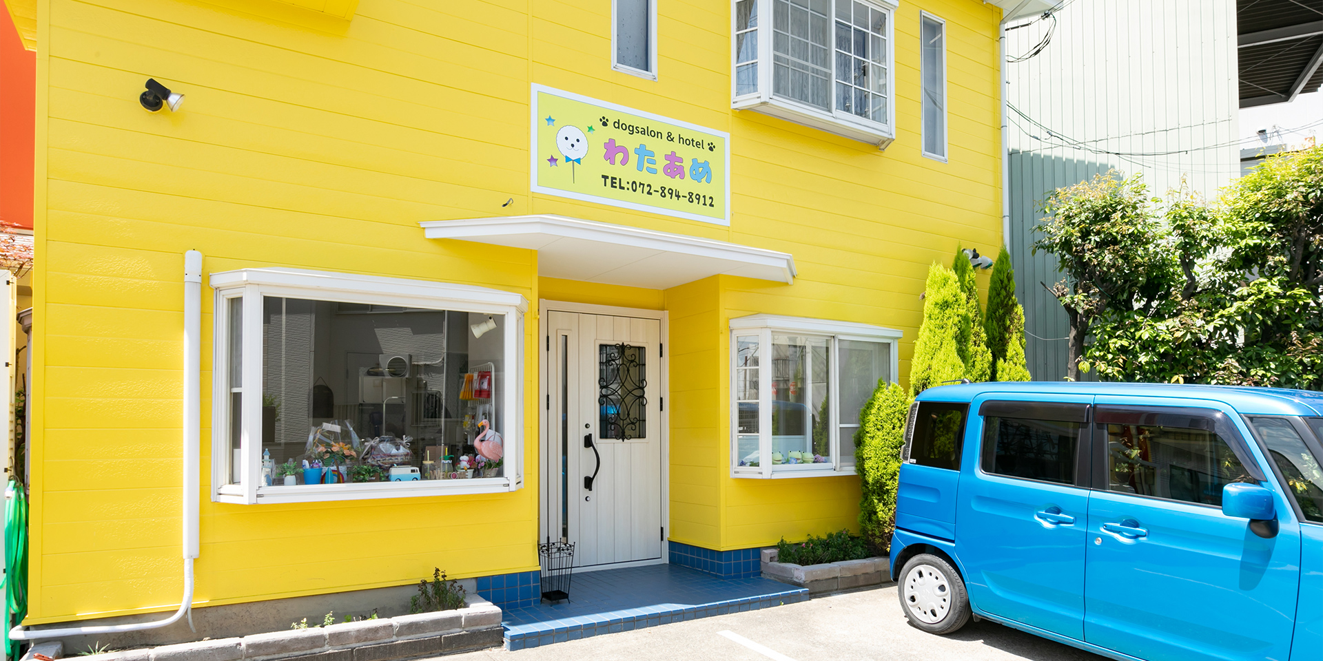 大阪府の大型犬・ビションフリーゼのペットサロン｜わたあめ