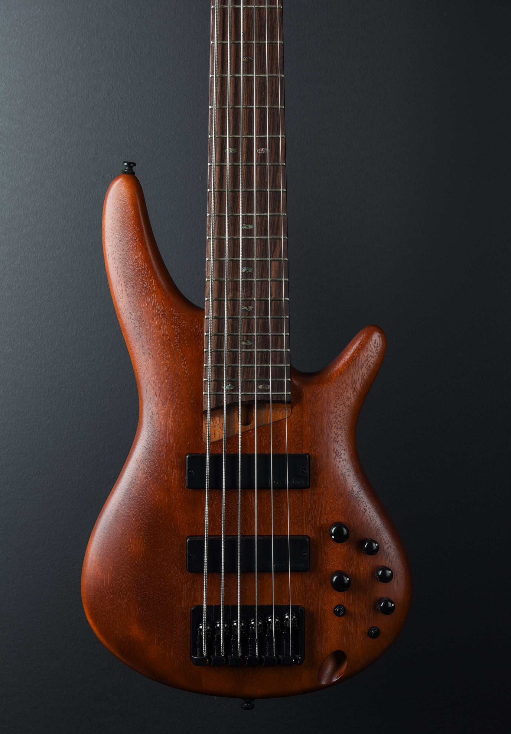 SR506E 6 String Bass - Brown Mahogany – Dave's Guitar Shop