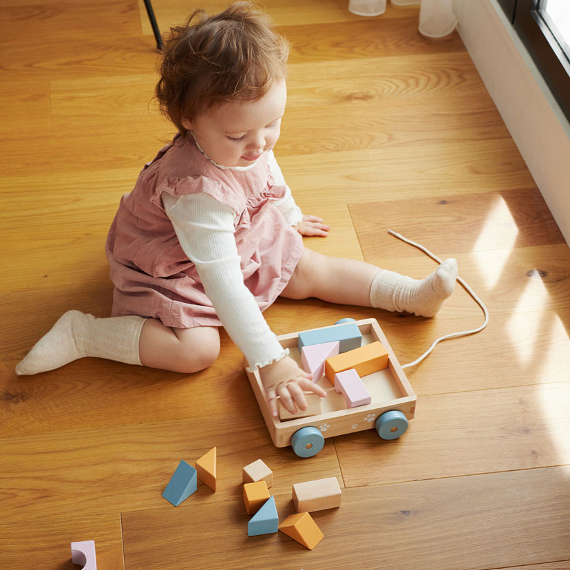 つみきワゴン: おもちゃ[DADWAY ダッドウェイオンラインストア]