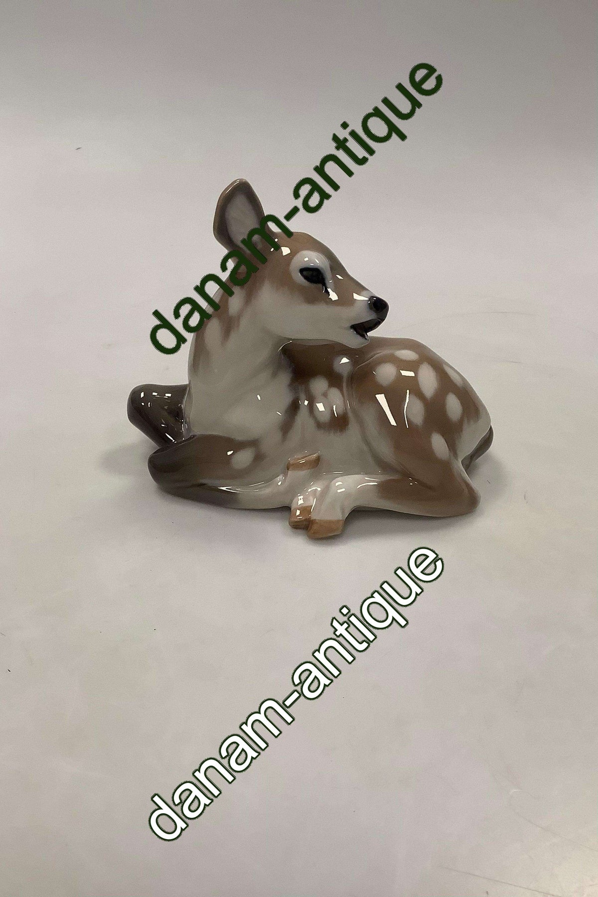 new5_6740229161069_1200x.jpg?v