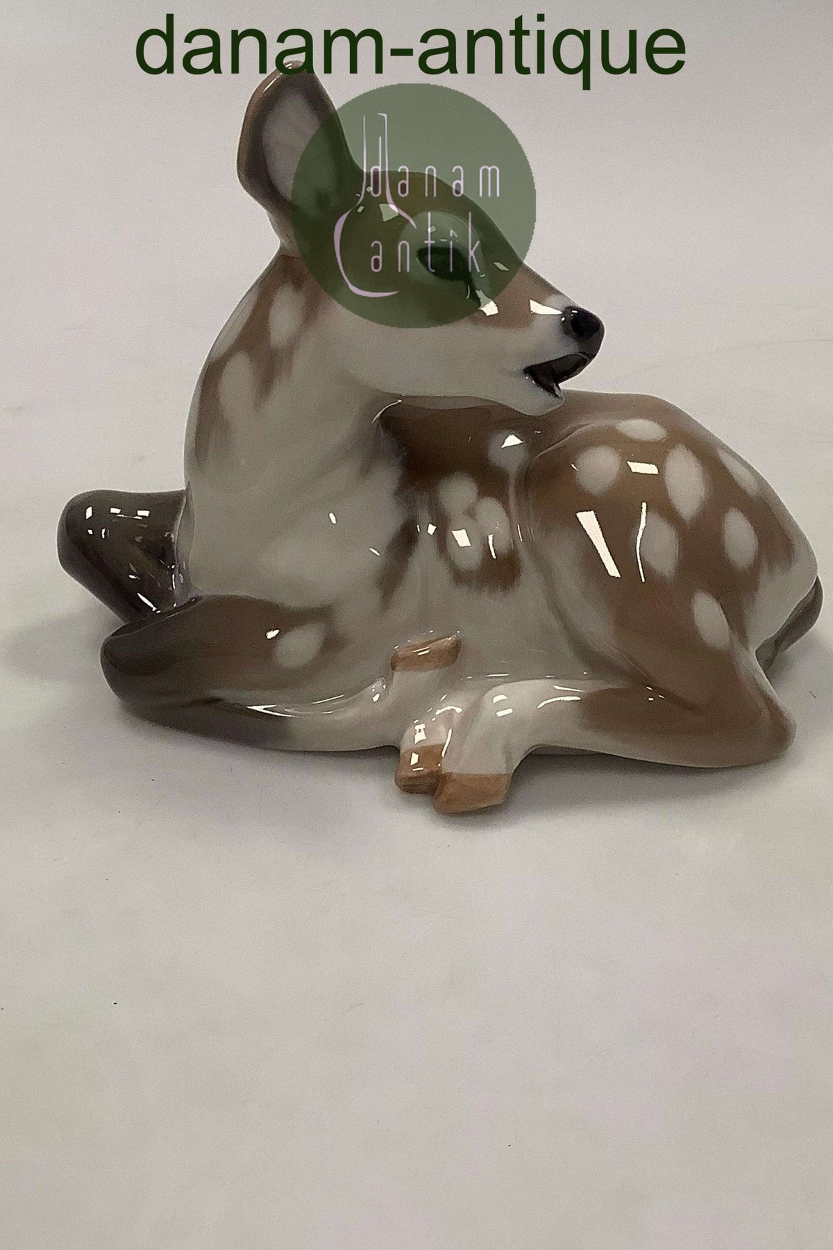 new2_6740229161069_1200x.jpg?v