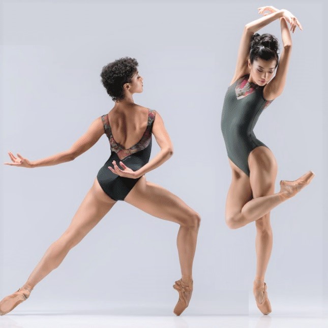 バレエローザ バレエレオタード 38 ballet rosaバレエレオタード✨38/S