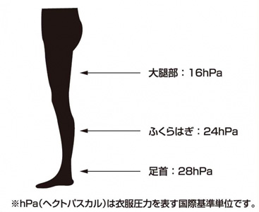 ダイアナロングセラー商品 「医療用弾性ストッキング」として