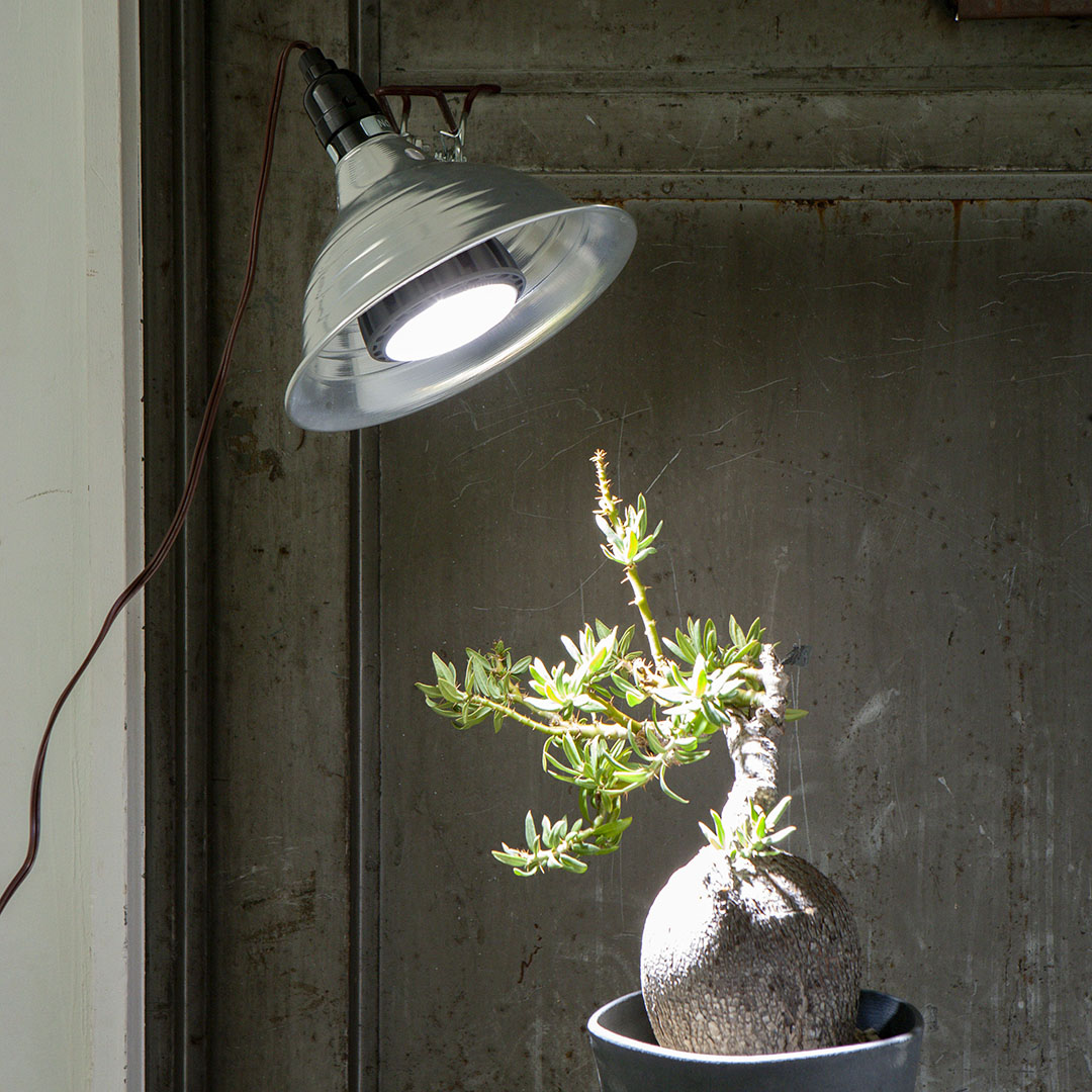 DULTON ONLINE SHOP | Helios Green LED(24W): ガーデン & アウトドア