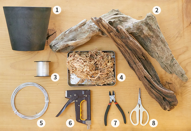 お部屋にカッコよく飾りたい！観葉植物（ビカクシダ）の上手な着生方法