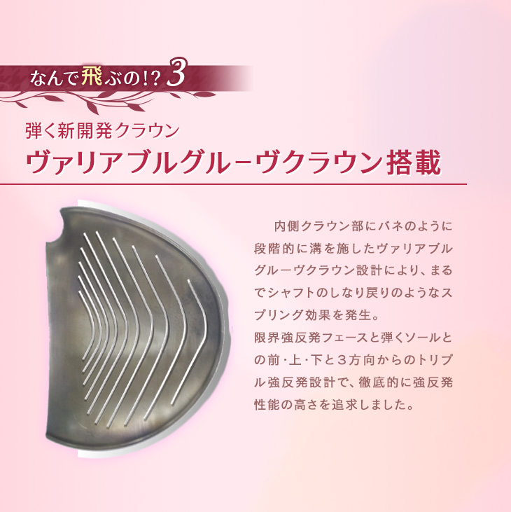 ダイナミクス フェミーナ