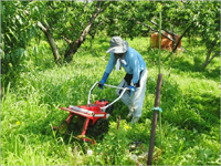 フジイ｜草刈機・ハンマーナイフモア｜ユーザーの声