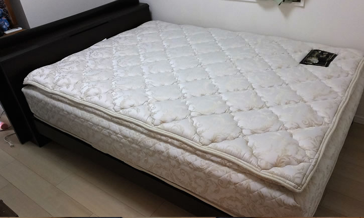 レガリア・キングスダウン（KINGS DOWN）・ロイヤルセレニティ-・セミ