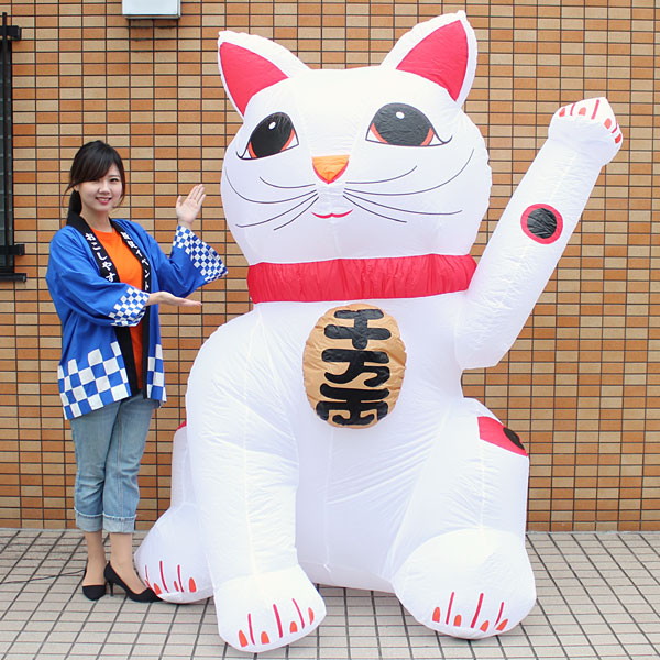 正月装飾 ジャンボエアブロー 招き猫 Lサイズ 215cm～【イベントグッズ