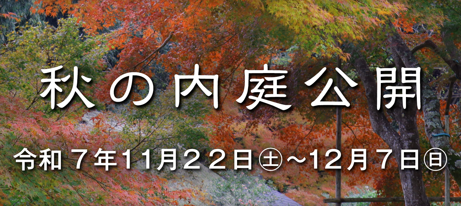 0705 巨人軍 江川邸 竣工記念 下敷き 1枚 0705 巨人軍 江川邸 竣工記念