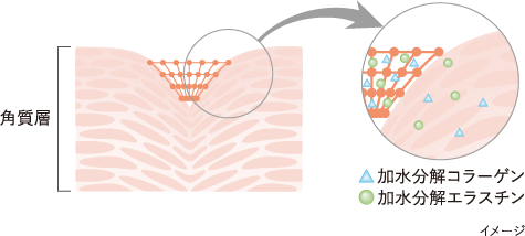 プレサート リュクス | ESTESSiMO（エステシモ）