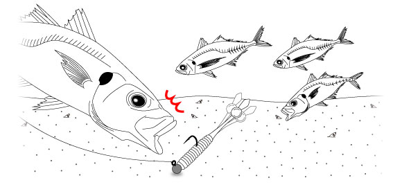 EVERGREEN（エバーグリーン インターナショナル） - ドットテール