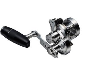 EVERGREEN（エバーグリーン インターナショナル） - オケアノス